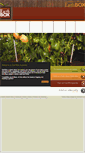 Mobile Screenshot of earthboxaustralia.com
